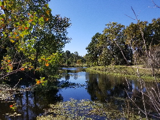West Pond.  Click for larger image.